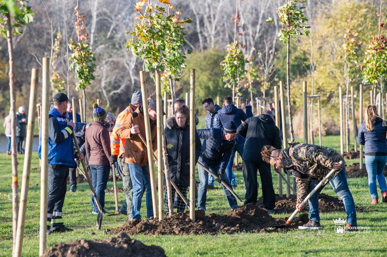 Folytatódnak a faültetések a Palotavárosi tavaknál
